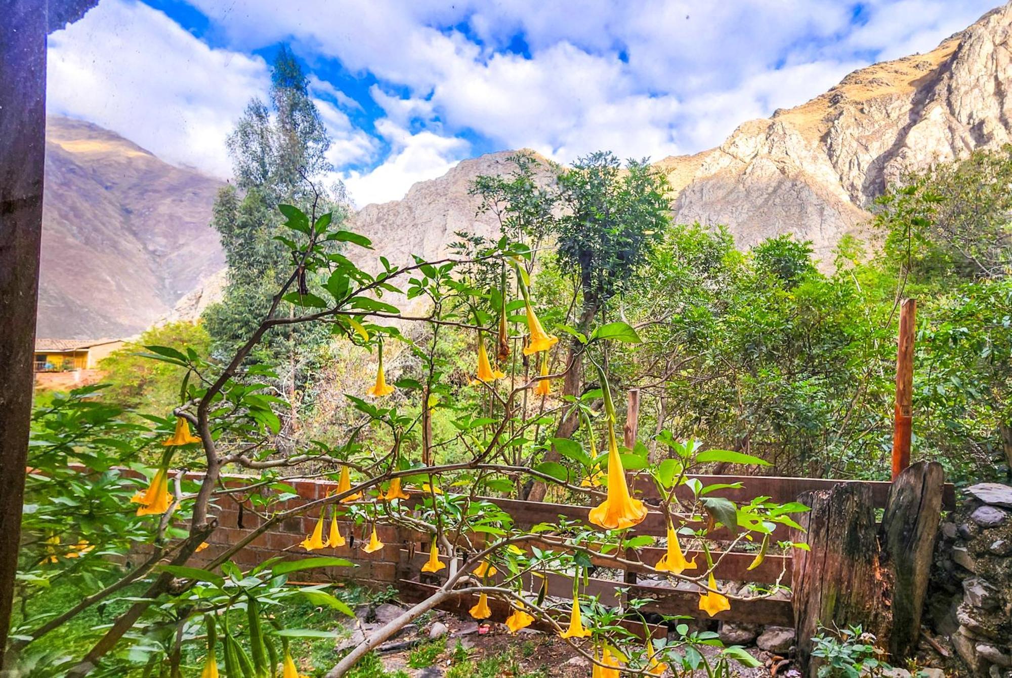 Peru Quechua'S Lodge Ollantaytambo Zewnętrze zdjęcie